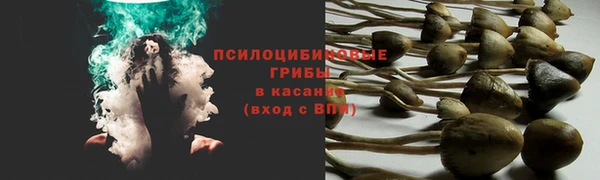 хмурый Армянск