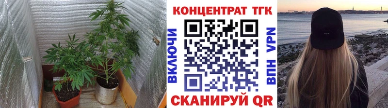 Купить закладки  Новокубанск  Дистиллят ТГК Wax 